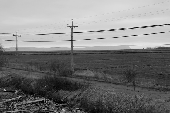 black and white, new Topographics, landscape, Blomidon, social landscape, utility poles,  poles